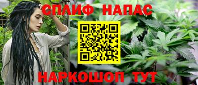 прущие грибы Гусиноозёрск