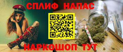 прущие грибы Гусиноозёрск