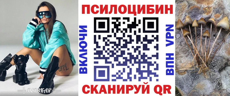 Псилоцибиновые грибы мицелий  Волжск 