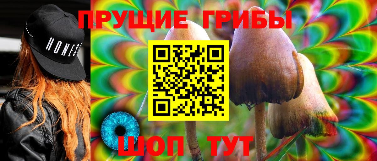 сколько стоит  Вход с VPN  Галлюциногенные грибы Psilocybine cubensis  Волжск  Галлюциногенные грибы Psilocybe 