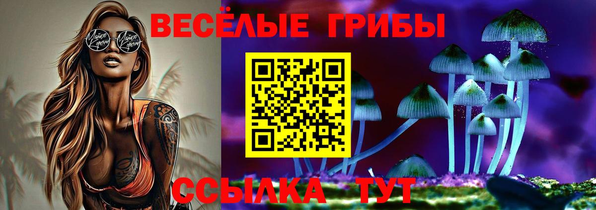 Псилоцибиновые грибы MAGIC MUSHROOMS Волжск
